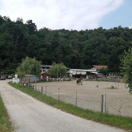 Locazione Turistica Varaita Brossasco Esterno foto