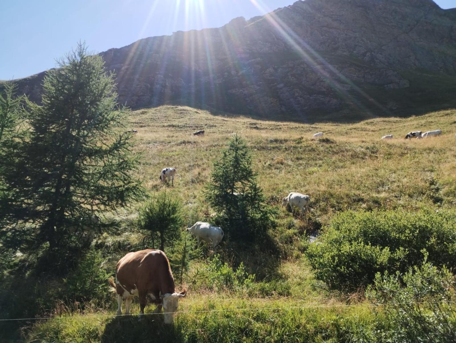 Locazione Turistica Varaita Brossasco Esterno foto